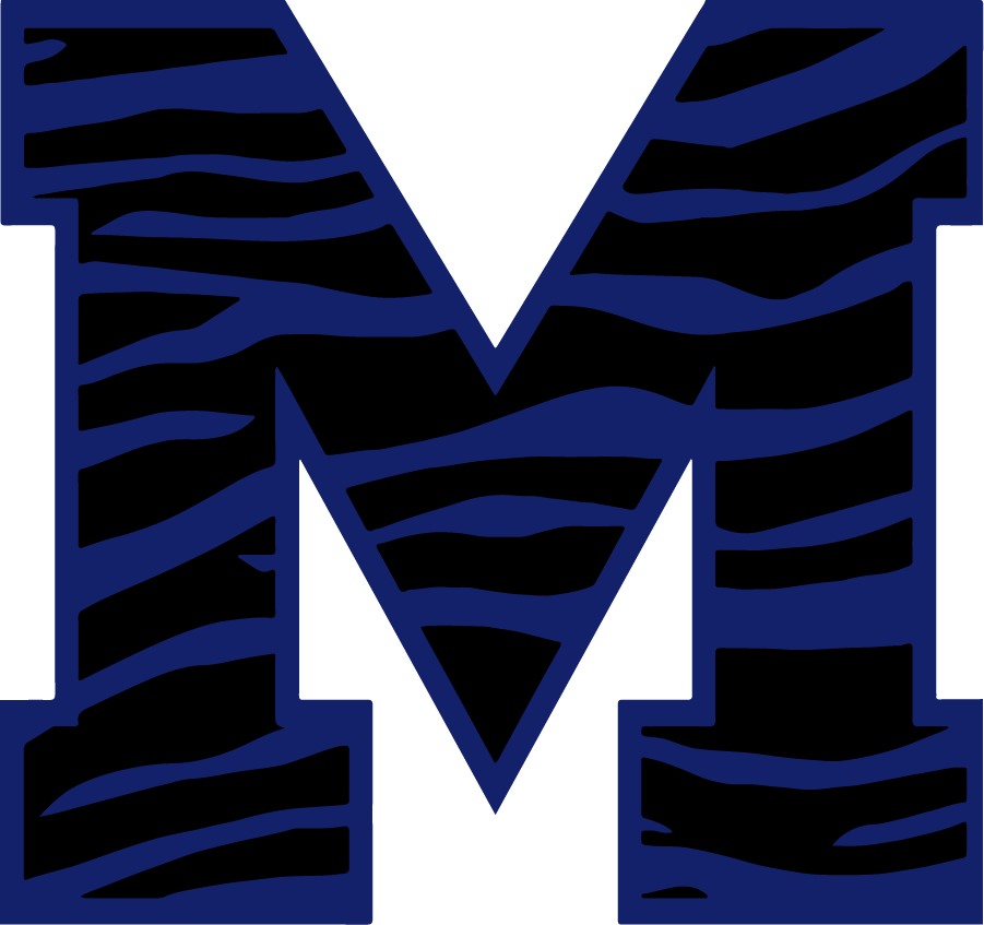 Memphis Tigers 2013-Pres Secondary Logo DIY iron on transfer (heat transfer)